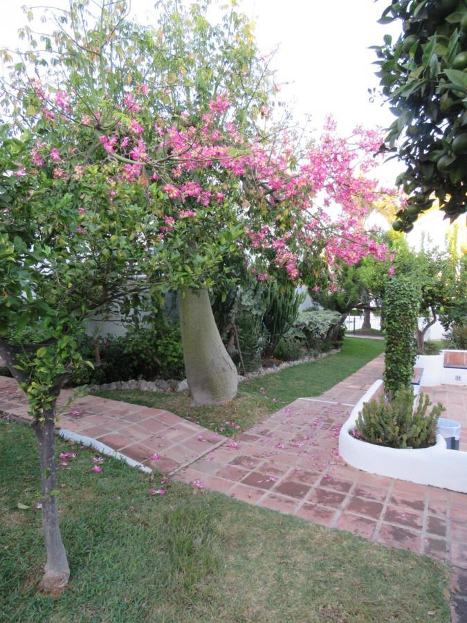 Apartamento Bien Situado En Marbella Luaran gambar